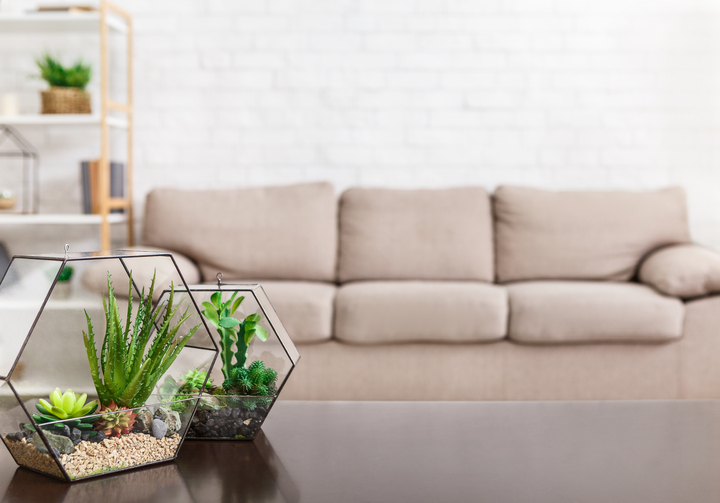 A clean home helps you focus