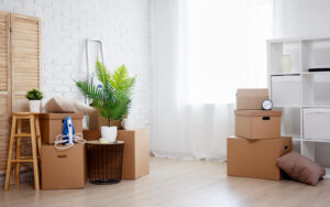 The List of Household Items Every Home Needs