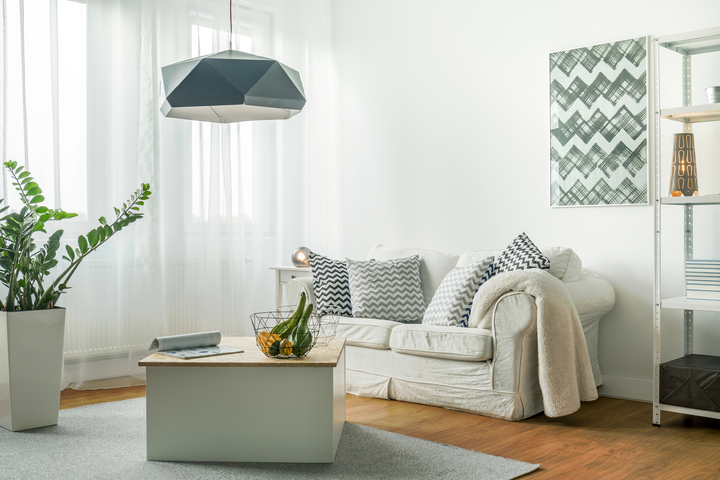 a clear living room with a couch, a coffee table, a shelf and a plant